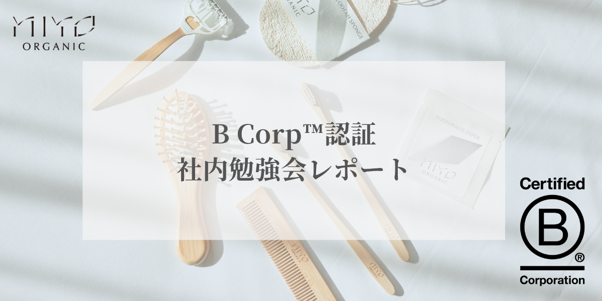 【レポート】「B Corp認証」をゲームで体感！楽しんで学ぶ社内勉強会を開催しました