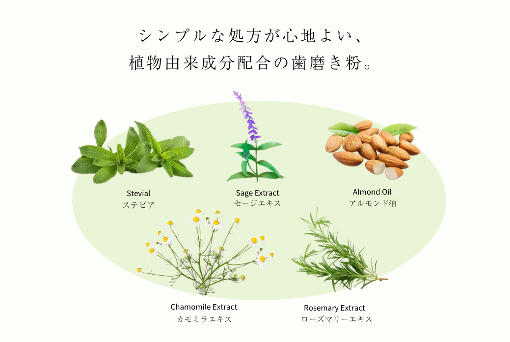 薬用ホワイトニング歯磨き粉 3本~